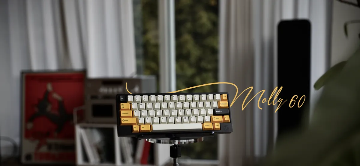 MOLLY60