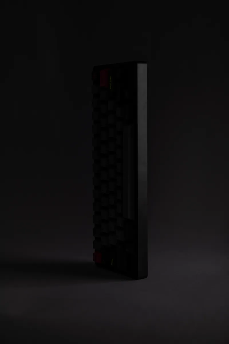MOLLY60