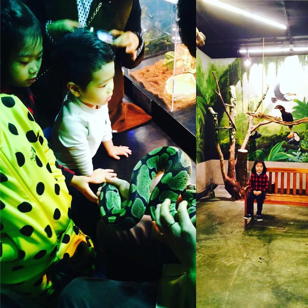 Family
