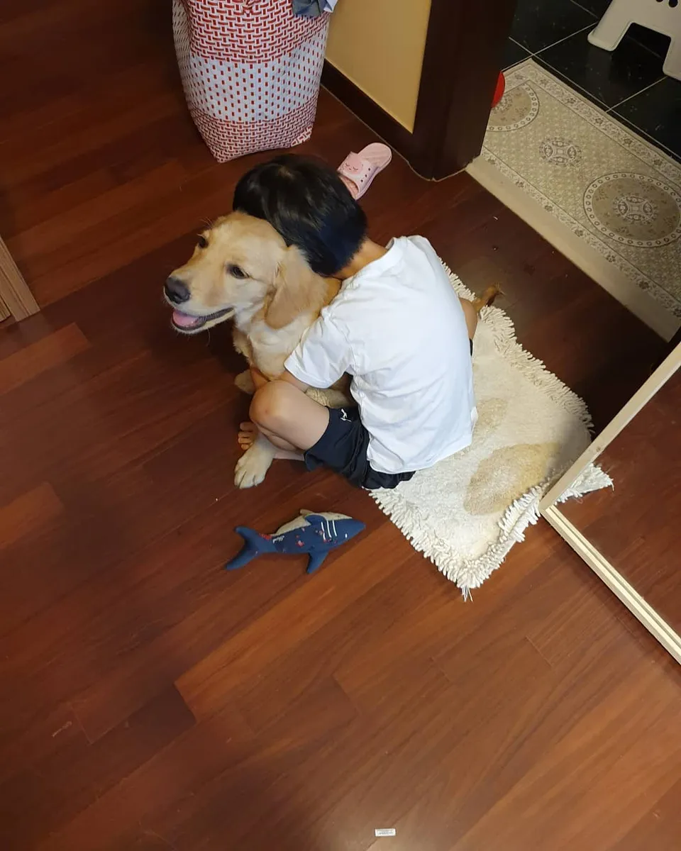 ari