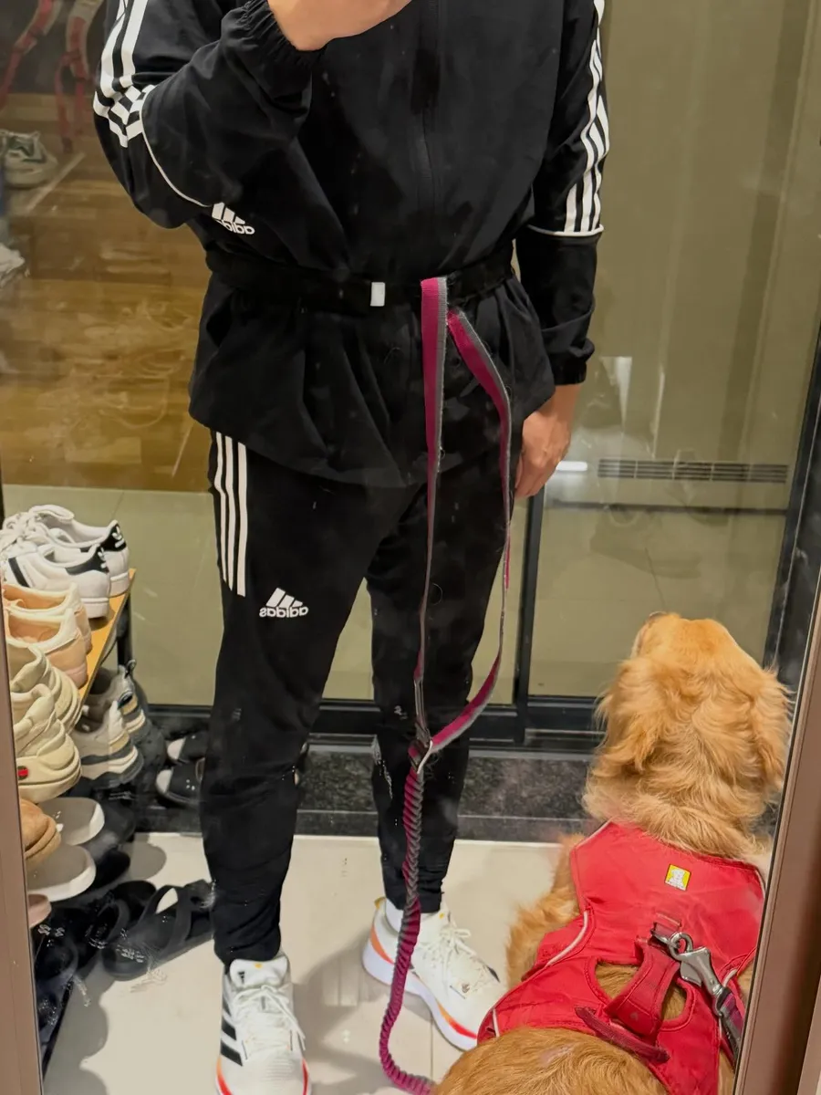 ari