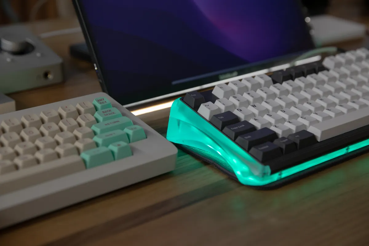 DOLPHIN PC
