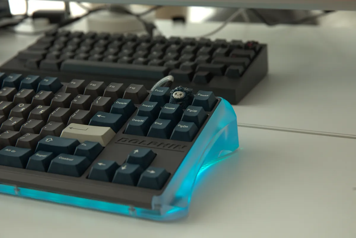 DOLPHIN PC