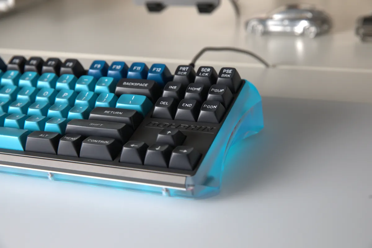 DOLPHIN PC